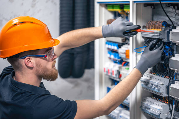 Best Electric Panel Repair  in Woodbine, GA
